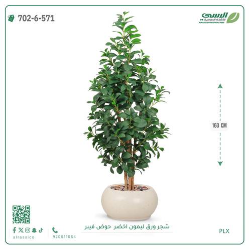 شجر ليمون صناعية ( ارتفاع 160 سم ) حوض فيبر