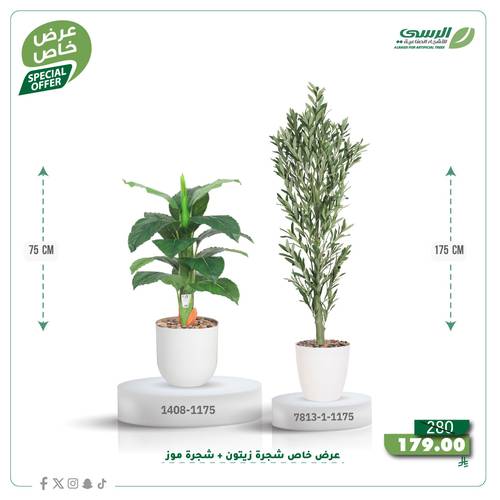 عرض شجرة زيتون صناعية ( ارتفاع 175 سم ) + شجرة ورق موز صناعية ( ارتفاع 75 سم ) حوض بلاستيك