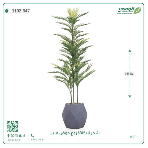 شجرة أريكا اصطناعية (3 فرع) بمركن فيبر