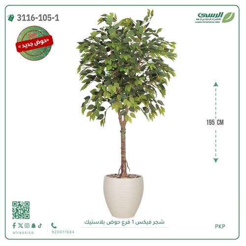 شجر فيكس صناعية ( ارتفاع 195 سم ) حوض بلاستيك