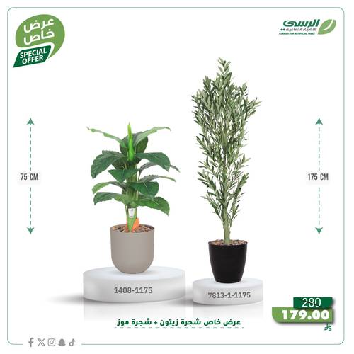 عرض شجرة زيتون صناعية ( ارتفاع 175 سم ) + شجرة ورق موز صناعية ( ارتفاع 75 سم ) حوض بلاستيك