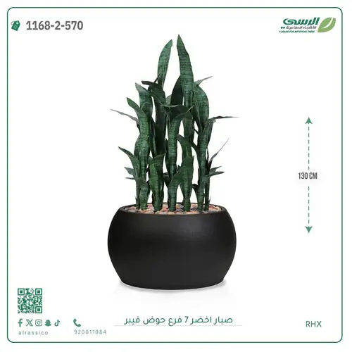 صبار صناعية ( ارتفاع 130 سم ) حوض فيبر