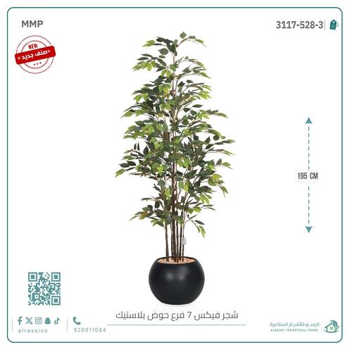 شجرة فيكس (7 فروع) بارتفاع195بمركن بلاستيك دائرى