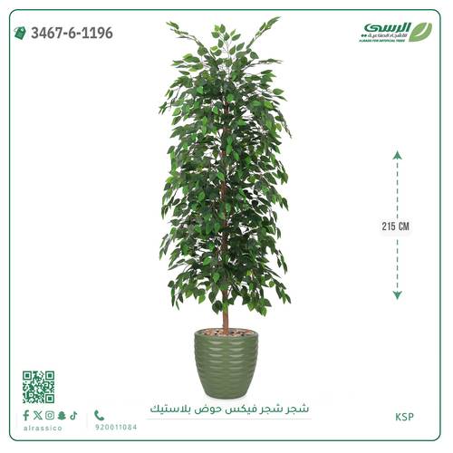 شجرة فيكس صناعية ( ارتفاع 215 سم ) حوض بلاستك