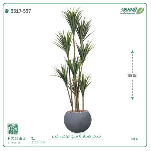 شجرة صبار صناعية ( ارتفاع 185 سم ) حوض فيبر مقلم