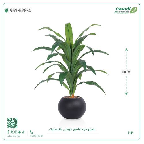  شجرة ذرة غامق بمركن بلاستيك دائرى 