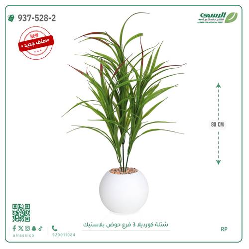 شجر كورديلا صناعية ( ارتفاع 80 سم ) حوض بلاستك