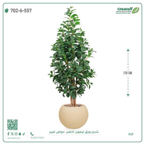 شجر ليمون صناعية ( ارتفاع 170 سم ) حوض فيبر
