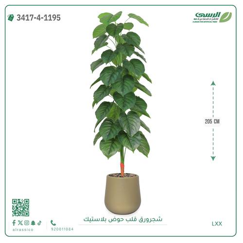 شجر ورق قلب صناعية ( ارتفاع 205 سم ) حوض بلاستيك