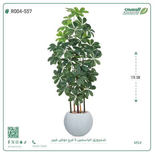 شجرة ورق ياسمين صناعية ( ارتفاع 175 سم ) حوض فيبر مقلم