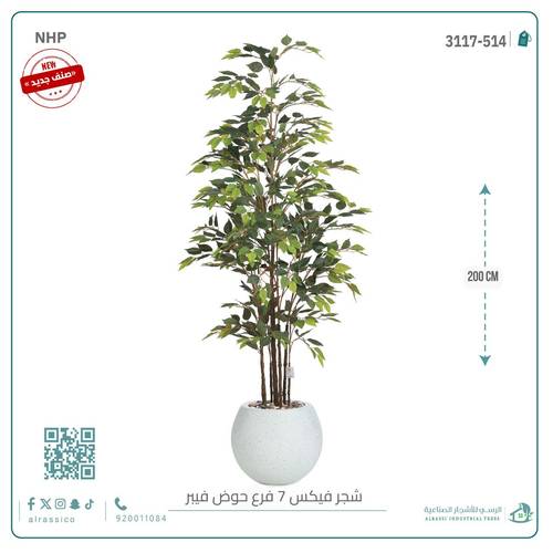 شجرة اوراق الفيكس الصناعيةبارتفاع(200) بحوض فيبر