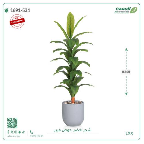شجرة ورق أخضر وسط بمركن فيبر اسطوانى 