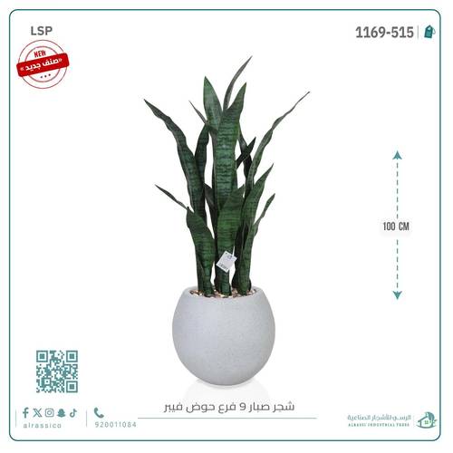 صبار جلد النمر بحوض فيبر بيضوي