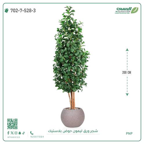 شجر ليمون صناعي ( ارتفاع 200 سم ) حوض بلاستيك