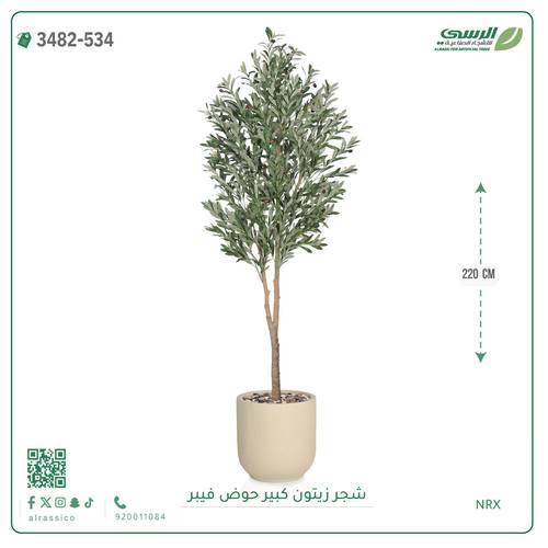 شجرة زيتون صناعية ( ارتفاع 220 سم ) حوض فيبر