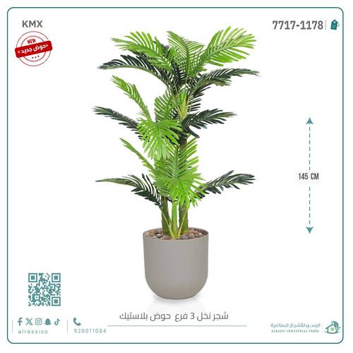 نخل أريكا صغير (3 فروع) بمركن بلاستيك أسطواني