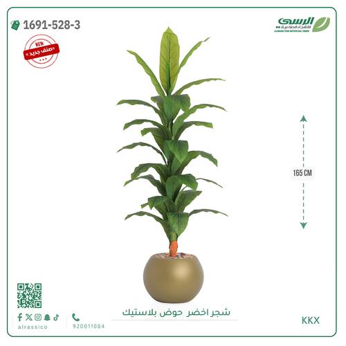  شجرة ورق أخضر وسط بمركن بلاستيك دائرى 