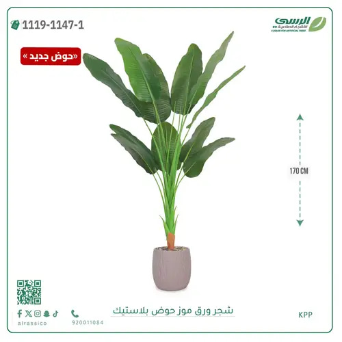 شجرة موز صناعية ( ارتفاع 170 سم ) حوض بلاستيك