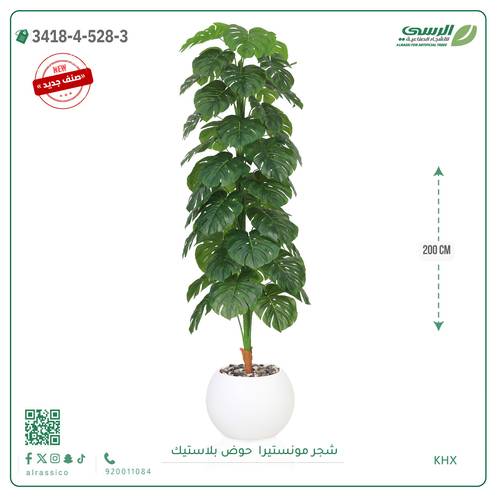 شجرة مونستيرا صناعية ( ارتفاع 200 سم ) حوض بلاستيك