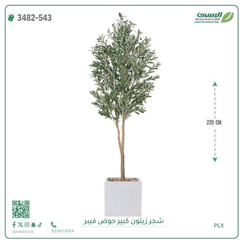 شجرة زيتون صناعية ( ارتفاع 220 سم ) حوض فيبر