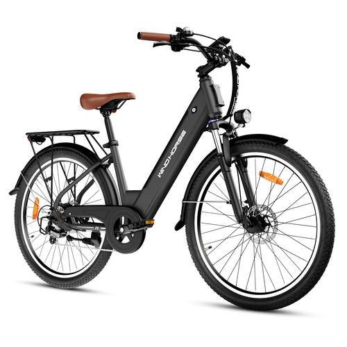 WIND HORSE F2 E-BIKE