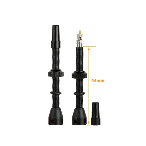 Tubeless Valve