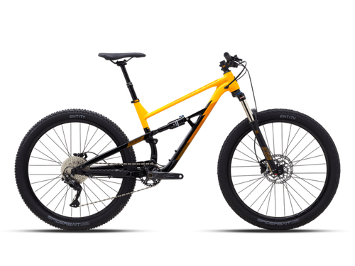 POLYGON SISKIU D6