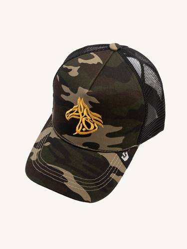 Victorious cap 3