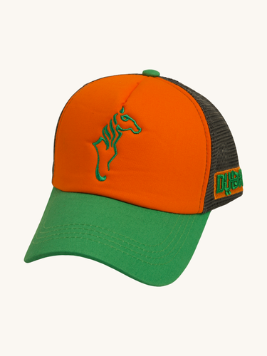 F3 Cap 4