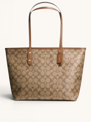 coach-chocolate-30cm
