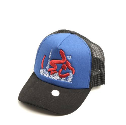 F3 cap 7