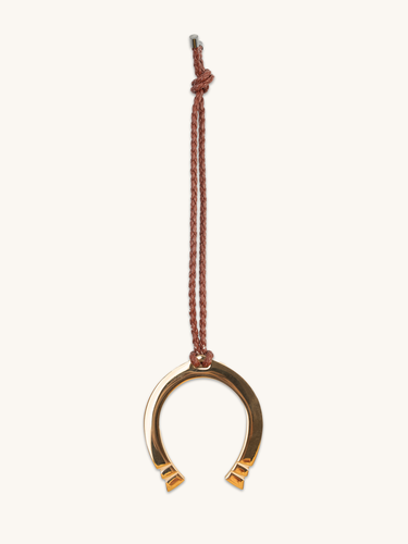 Horseshoe medallion