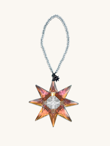 Brown Radiance Car Medal