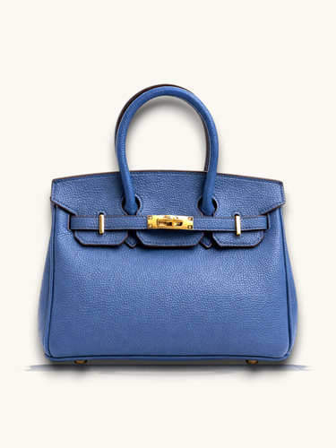 Birkin 25 Togo leather Bag