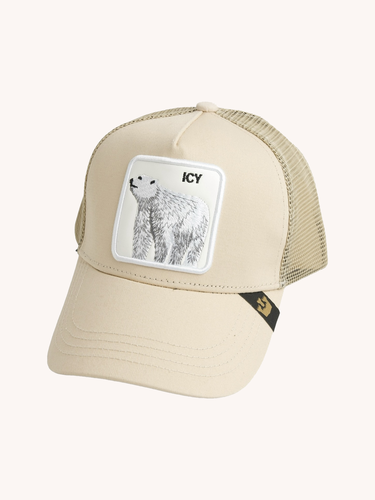 Icy Cap