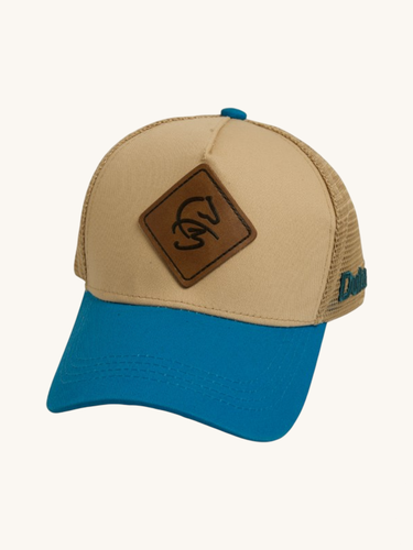 F3 Cap 3