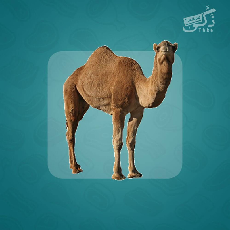 حاشي بلدي
