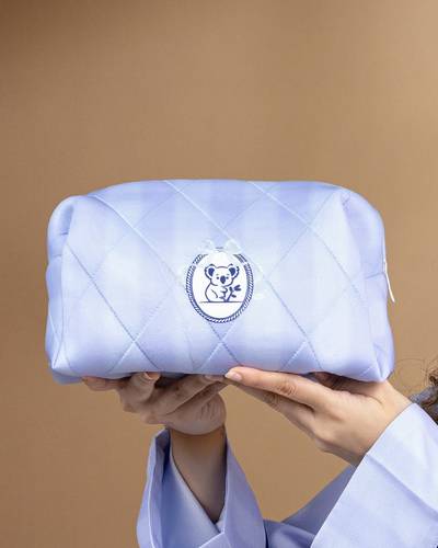🩵 Sky Bag