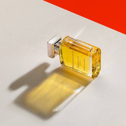 Osmanthus - Britain