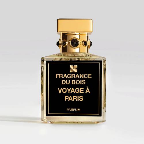 Voyage A Paris - France