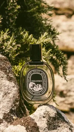 Philosykos - Diptyque 75 ML