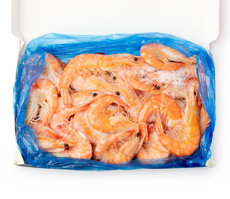 RED SHRIMP 