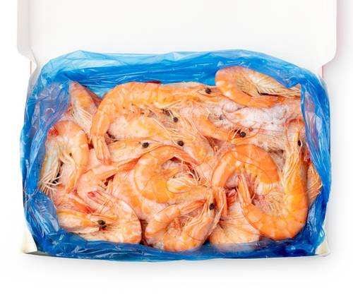 RED SHRIMP 