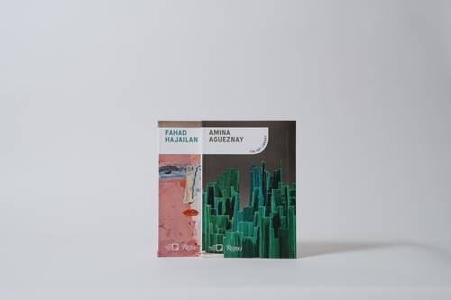 مجلد مكتبة الفن: أمينة أكزناي وفهد الحجيلان - الانجليزية