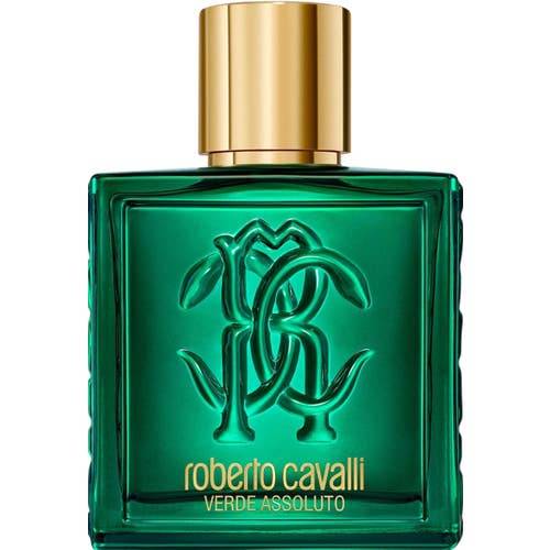 عطر روبرتو كفالي أومو فيردي أسولوتو 100مل