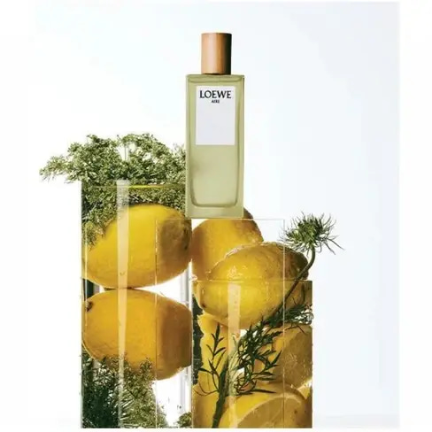 عطر لوي اير تواليت 100مل