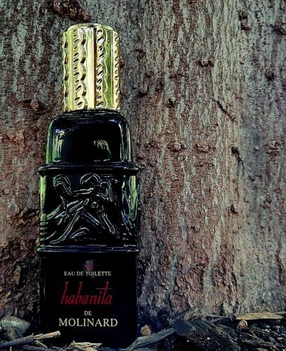 عطر مولينارد هابانيتا للنساء من مولينارد - ماء تواليت سبراي 100مل