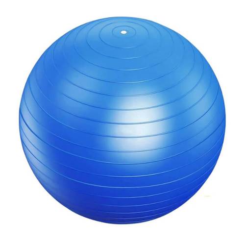 LIFE TOP EXERCISE BALL W/ PUMP 55CM#LT4488-55