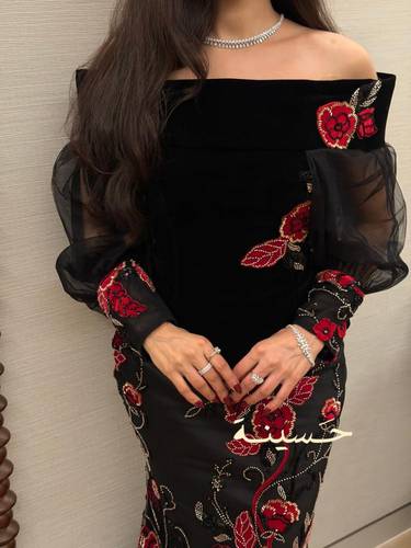 فستان روزا الملكي بالتطريز المخملي