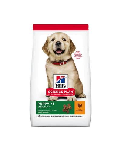 Hill's SP Large Breed Puppy Dry Food with Chicken 16Kg